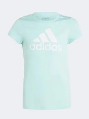 Adidas Big Logo Kids Girls Sportswear T-Shirt Flash Aqua/White