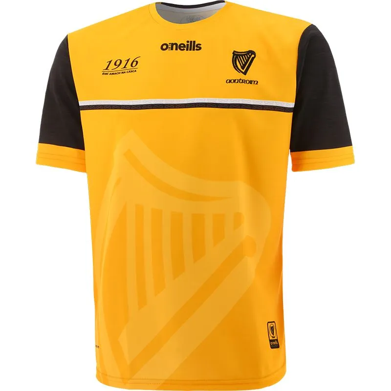 Antrim Kids' 1916 Remastered Jersey 