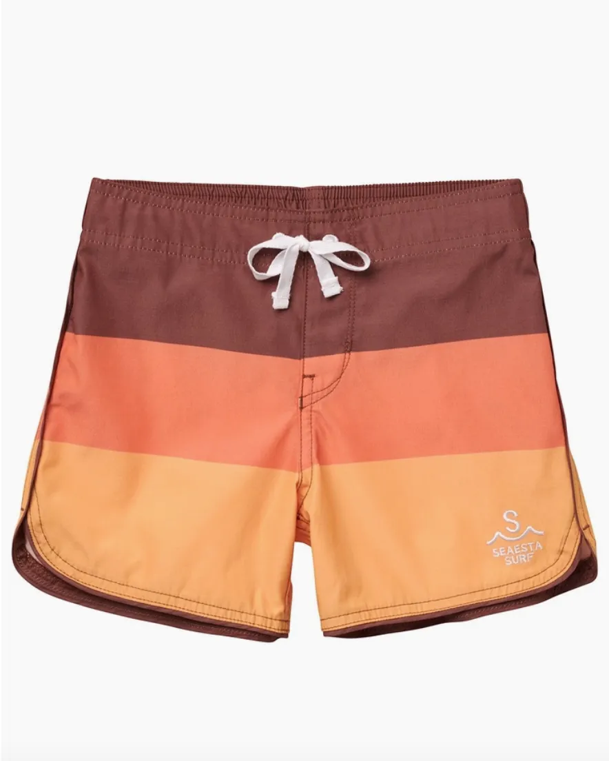 Beach Board Shorts