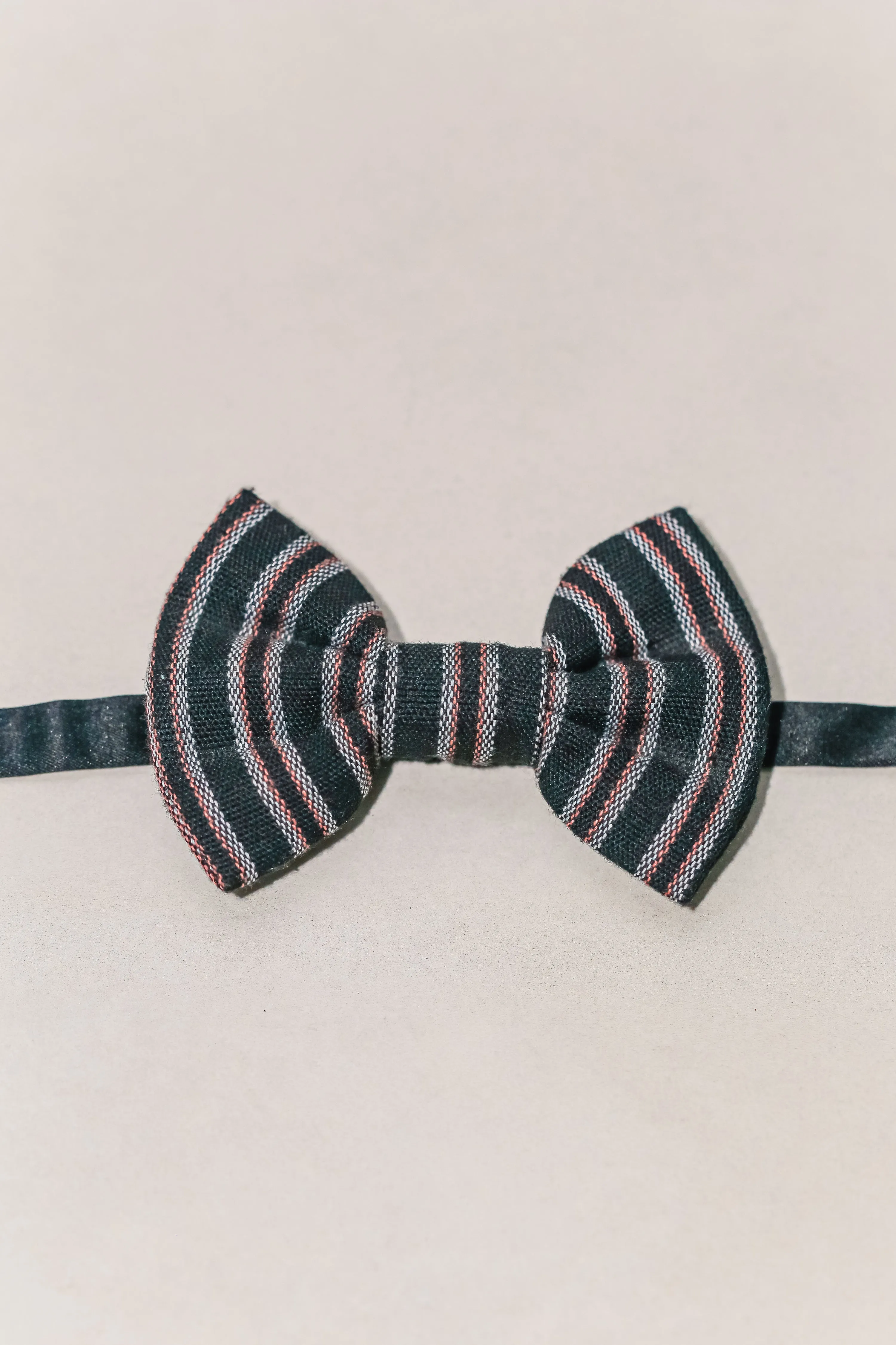 Children with Bowties