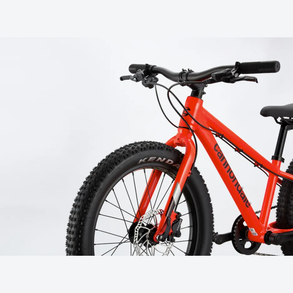 Cannondale Cujo Mountain Bike - Kids