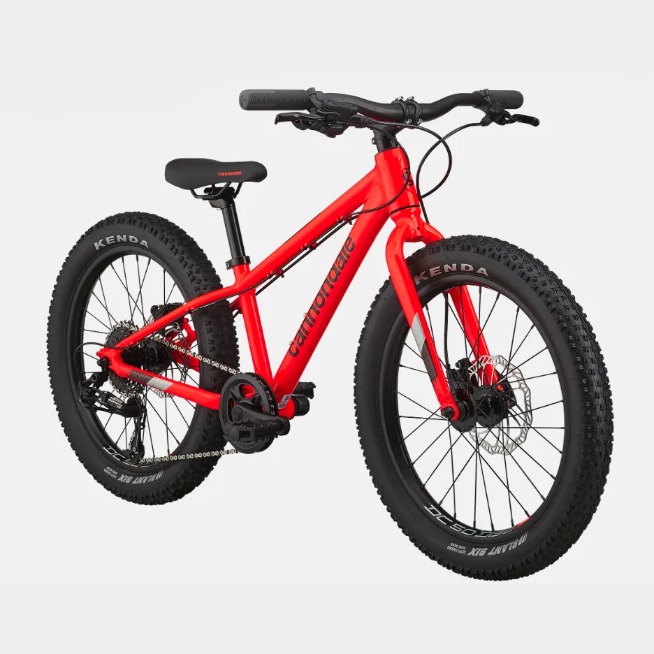 Cannondale Cujo Mountain Bike - Kids