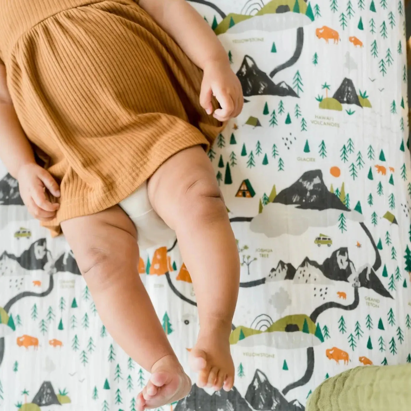 National Parks Clementine Kids Crib Sheet