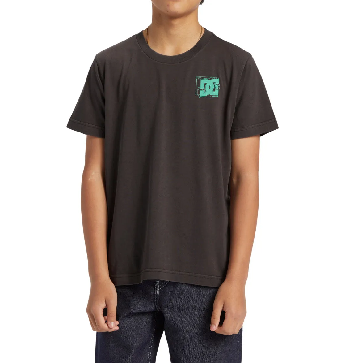 DC Shoes Kids Mid Century Short Sleeve T-Shirt