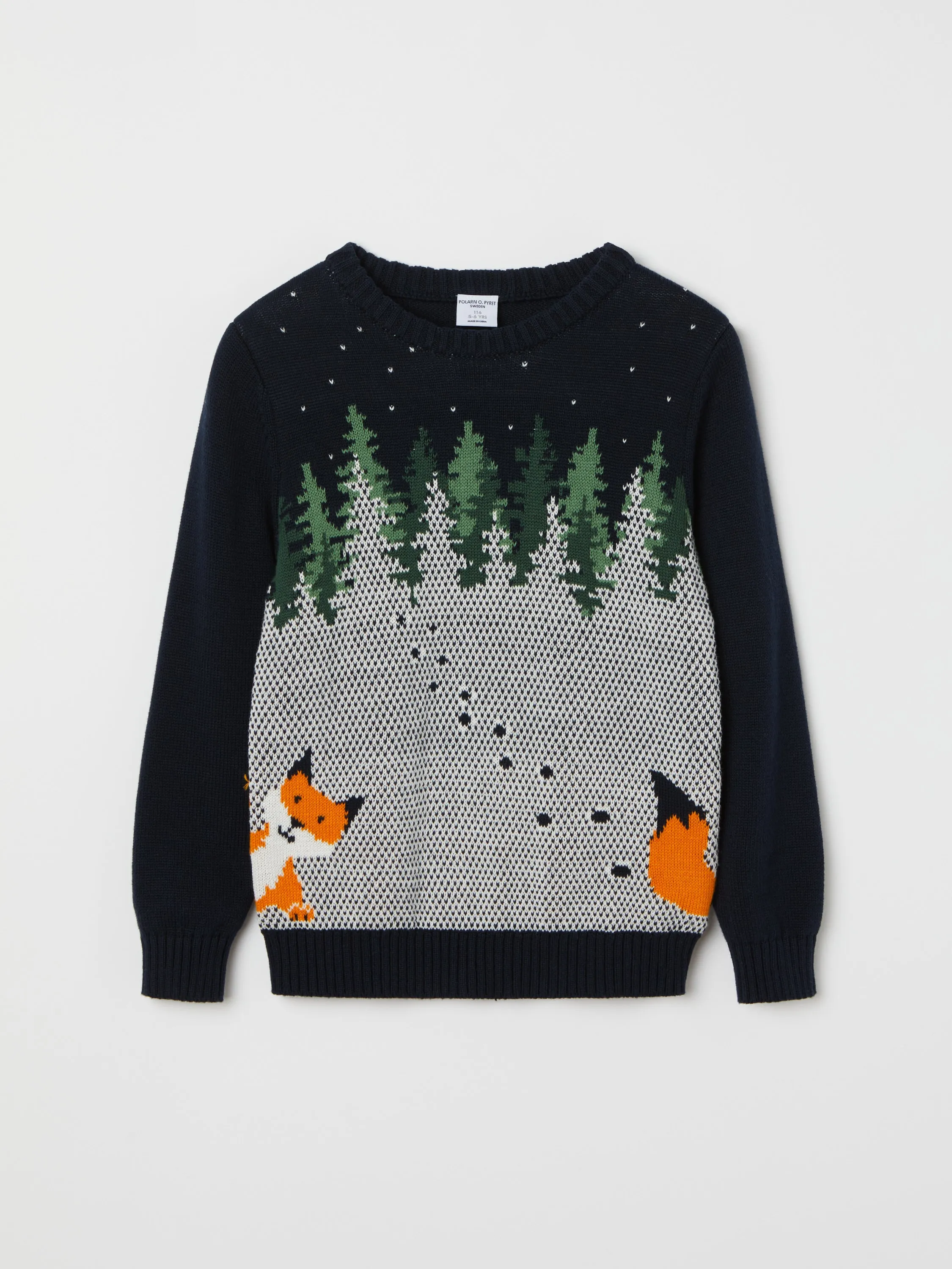 Friendly Kids Fox Jumper