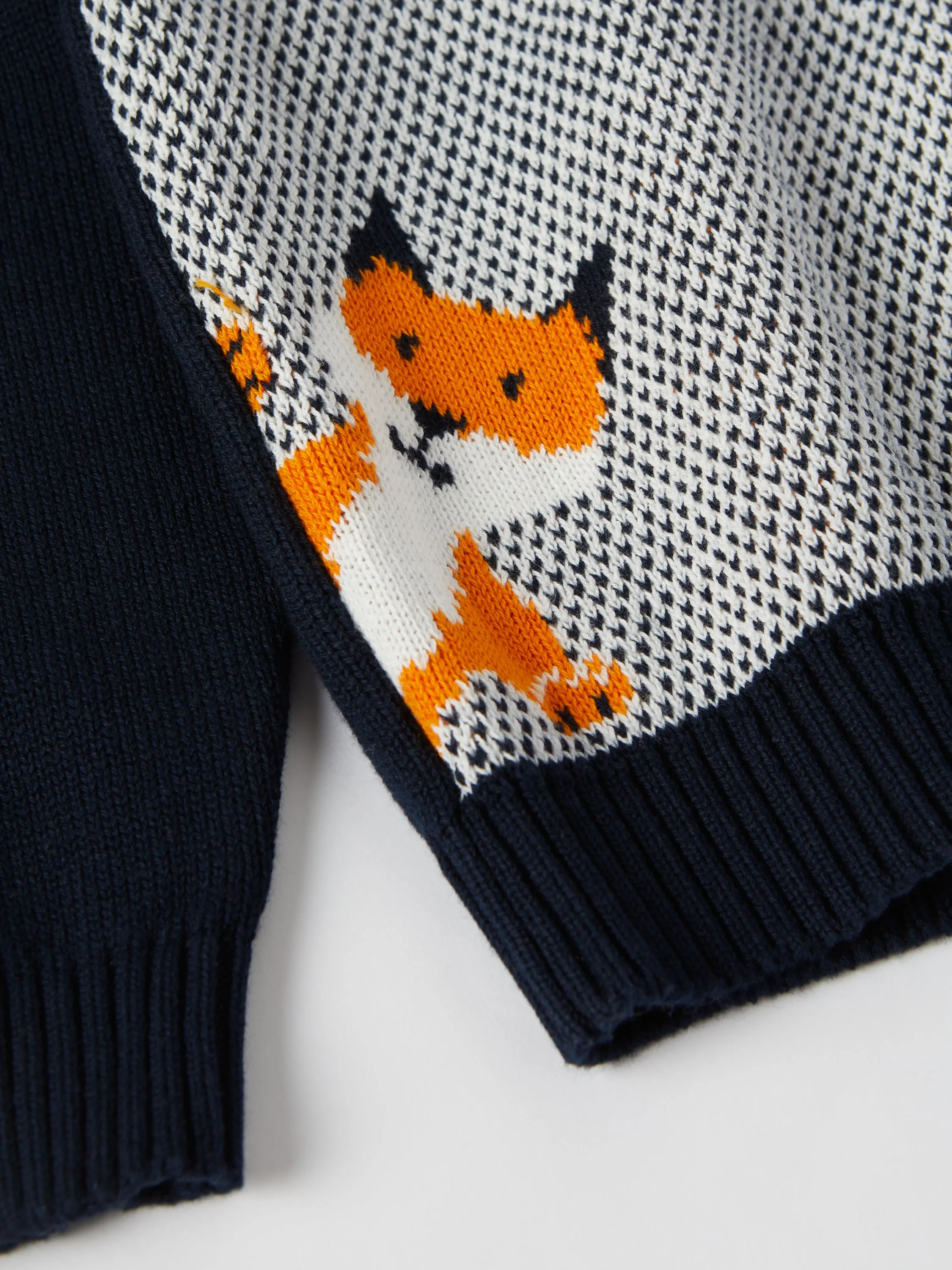 Friendly Kids Fox Jumper