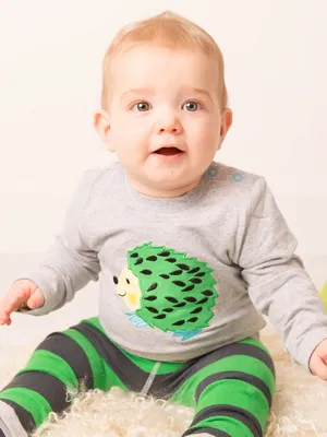 Trendy Hedgehog Shirt for Kids