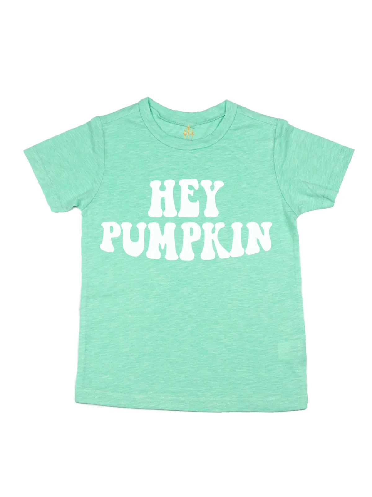 Hey Pumpkin Kids Shirt - Flamingo