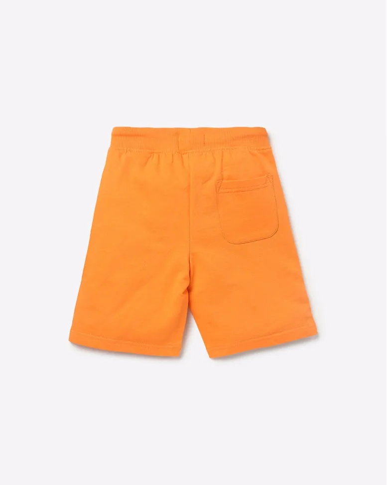 KB  TEAMSPIRT SHORTS KIDS