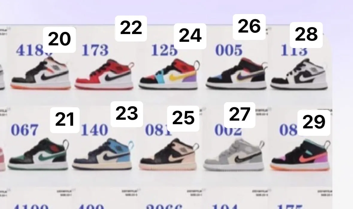 Kids Dunks 20-25