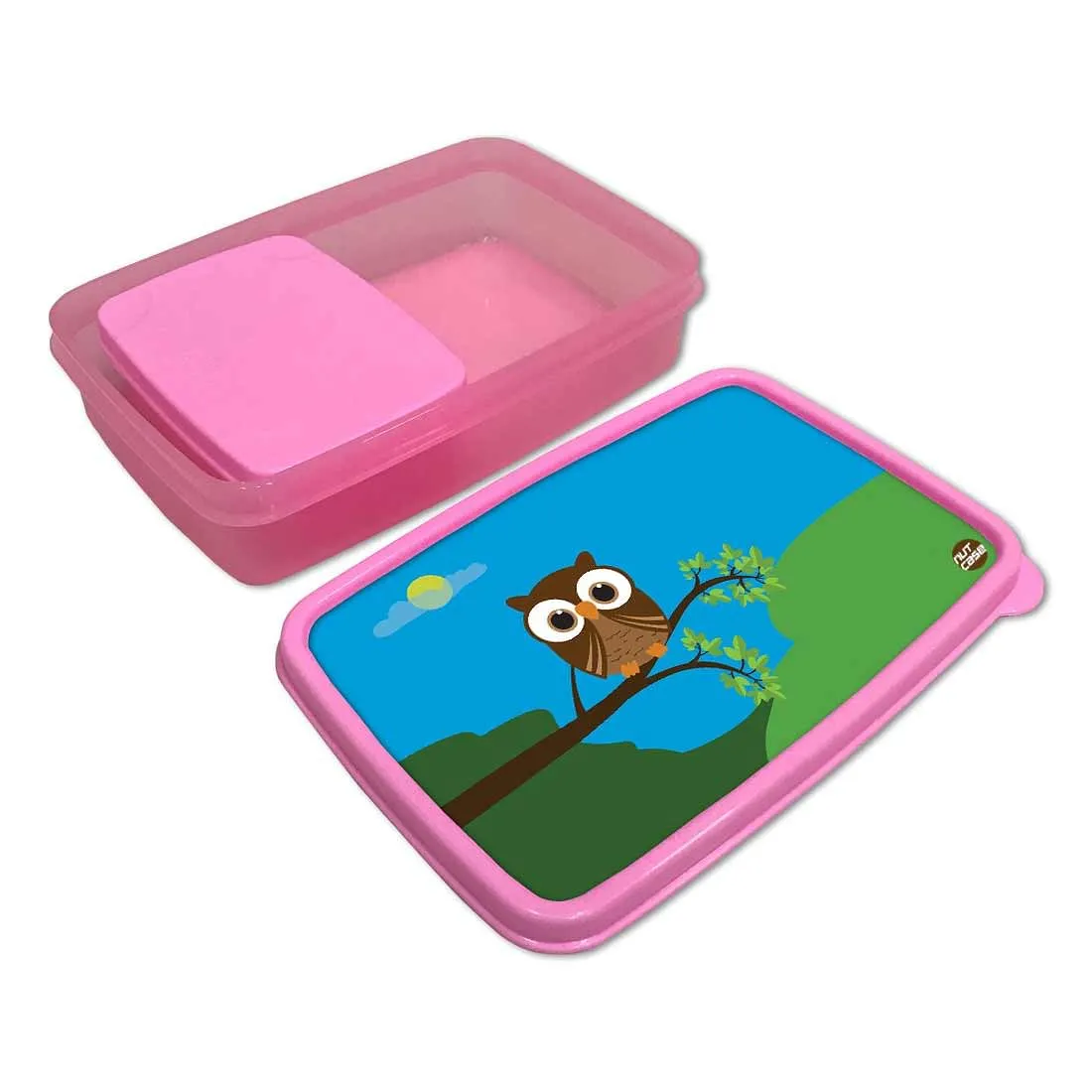 Plastic Lunch Box Snacks for School Kids Girls Tiffin Organizer - Night Owl