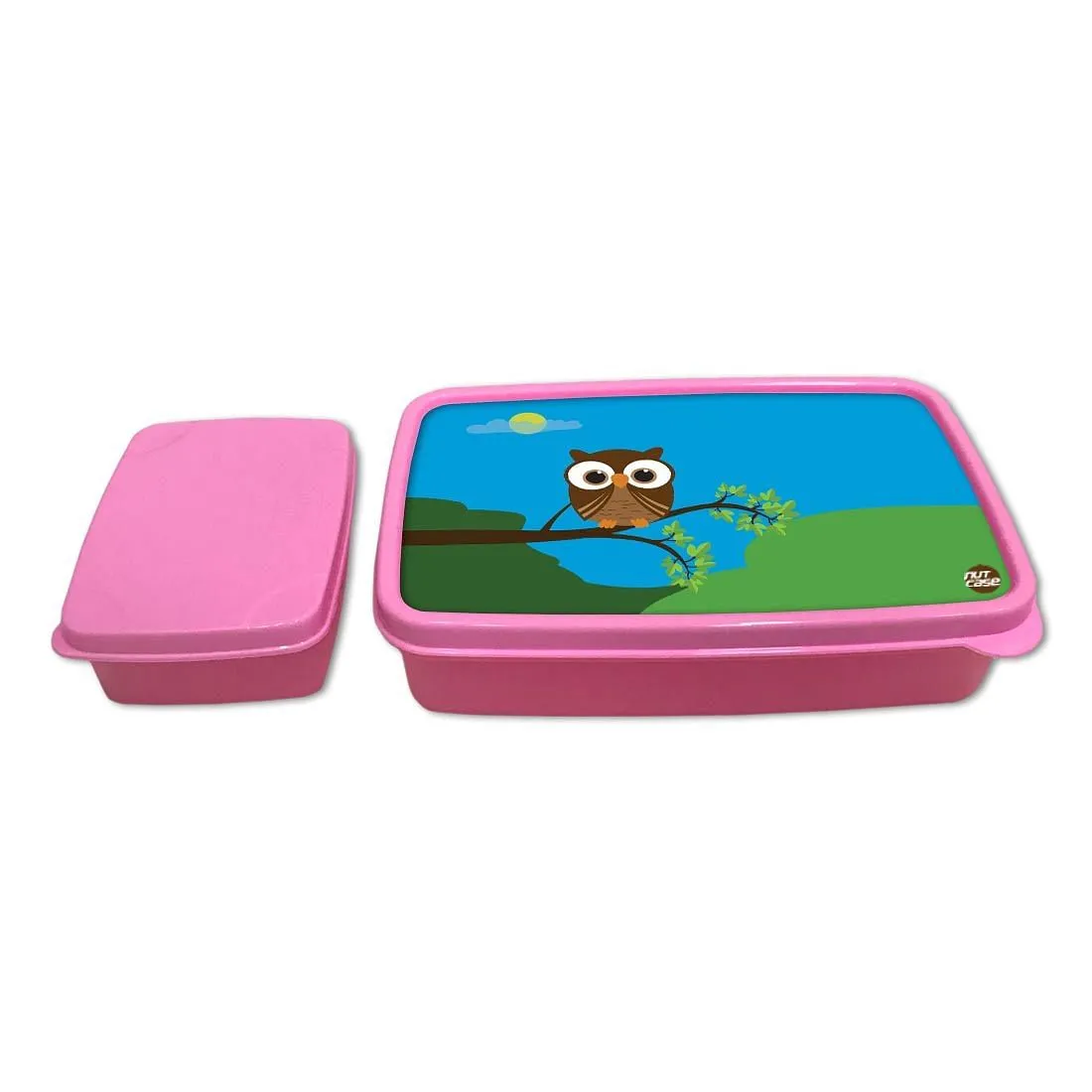 Plastic Lunch Box Snacks for School Kids Girls Tiffin Organizer - Night Owl