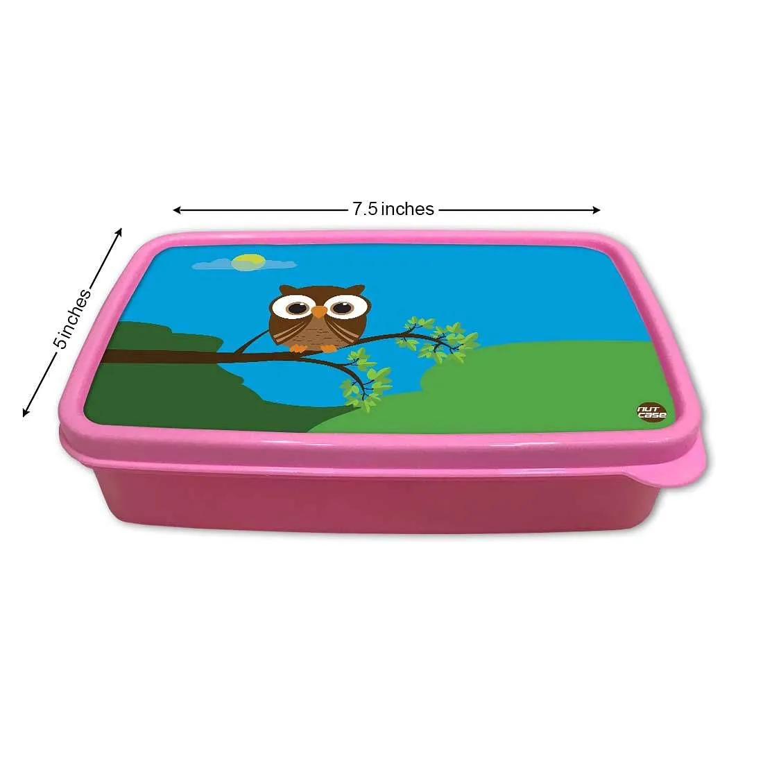 Plastic Lunch Box Snacks for School Kids Girls Tiffin Organizer - Night Owl