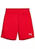 Puma Kids teamGoal Training Shorts