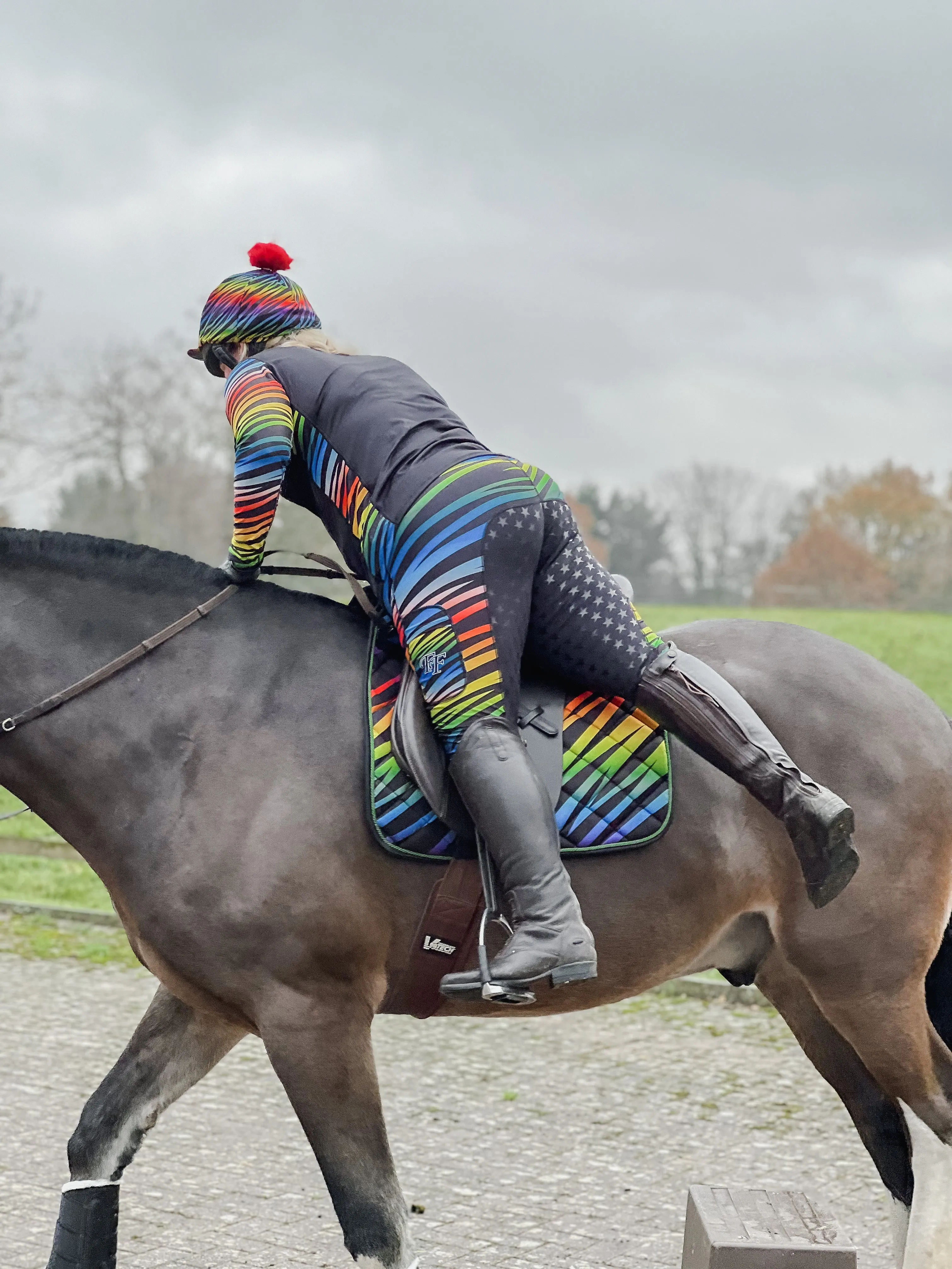 Rainbow Zebra Jodhpurs - Kids