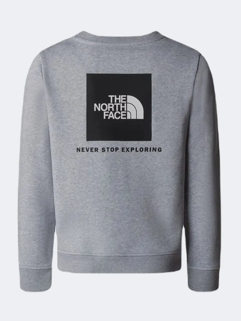 The North Face Redbox NSE Kids Lifestyle Sweatshirt Grey Heather