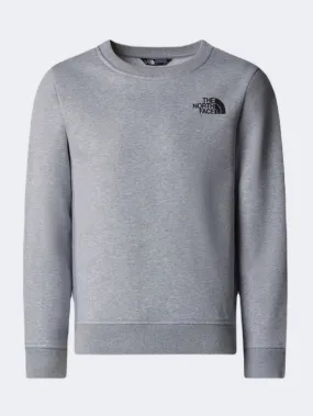 The North Face Redbox NSE Kids Lifestyle Sweatshirt Grey Heather