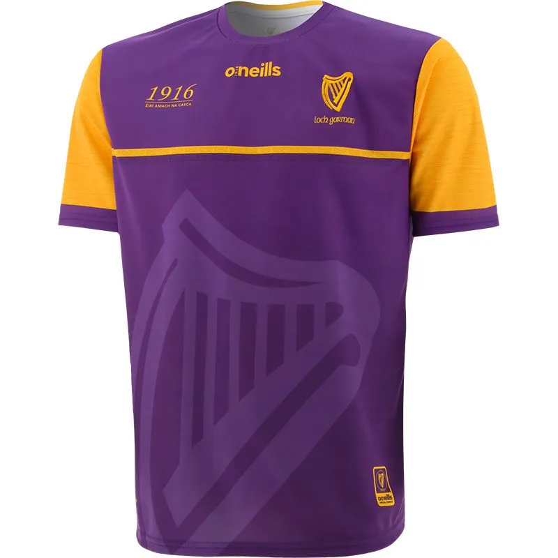 Wexford Kids' 1916 Remastered Jersey 