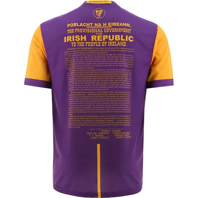 Wexford Kids' 1916 Remastered Jersey 